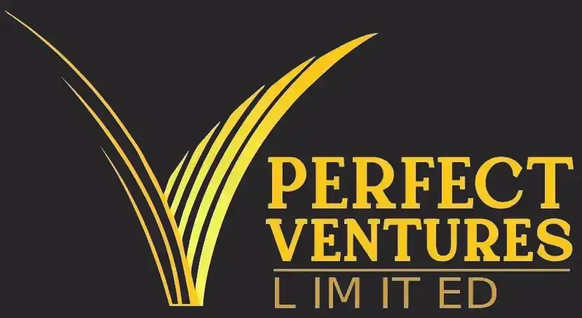 Perfect Ventures Limited